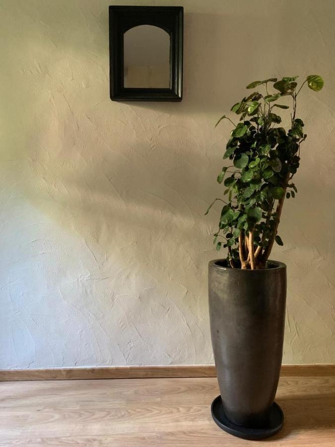 Bed and Breakfast Le Patio d'Arles Esterno foto